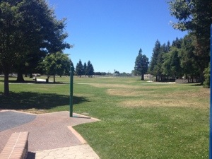 20130627-145019.jpg