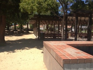 20130627-145327.jpg
