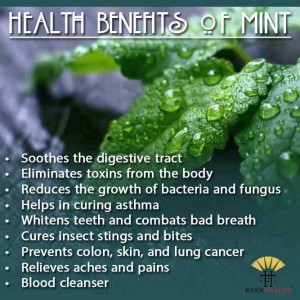 mints