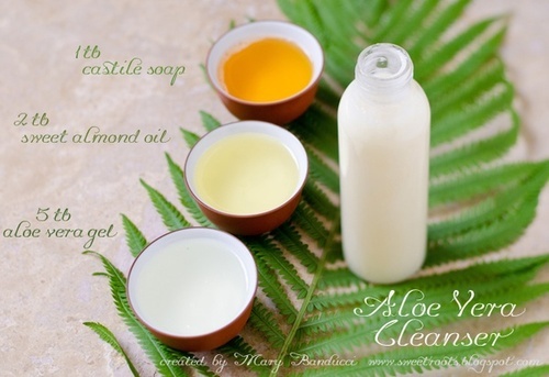 aloe vera recipes