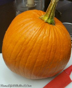 20151019104952-1