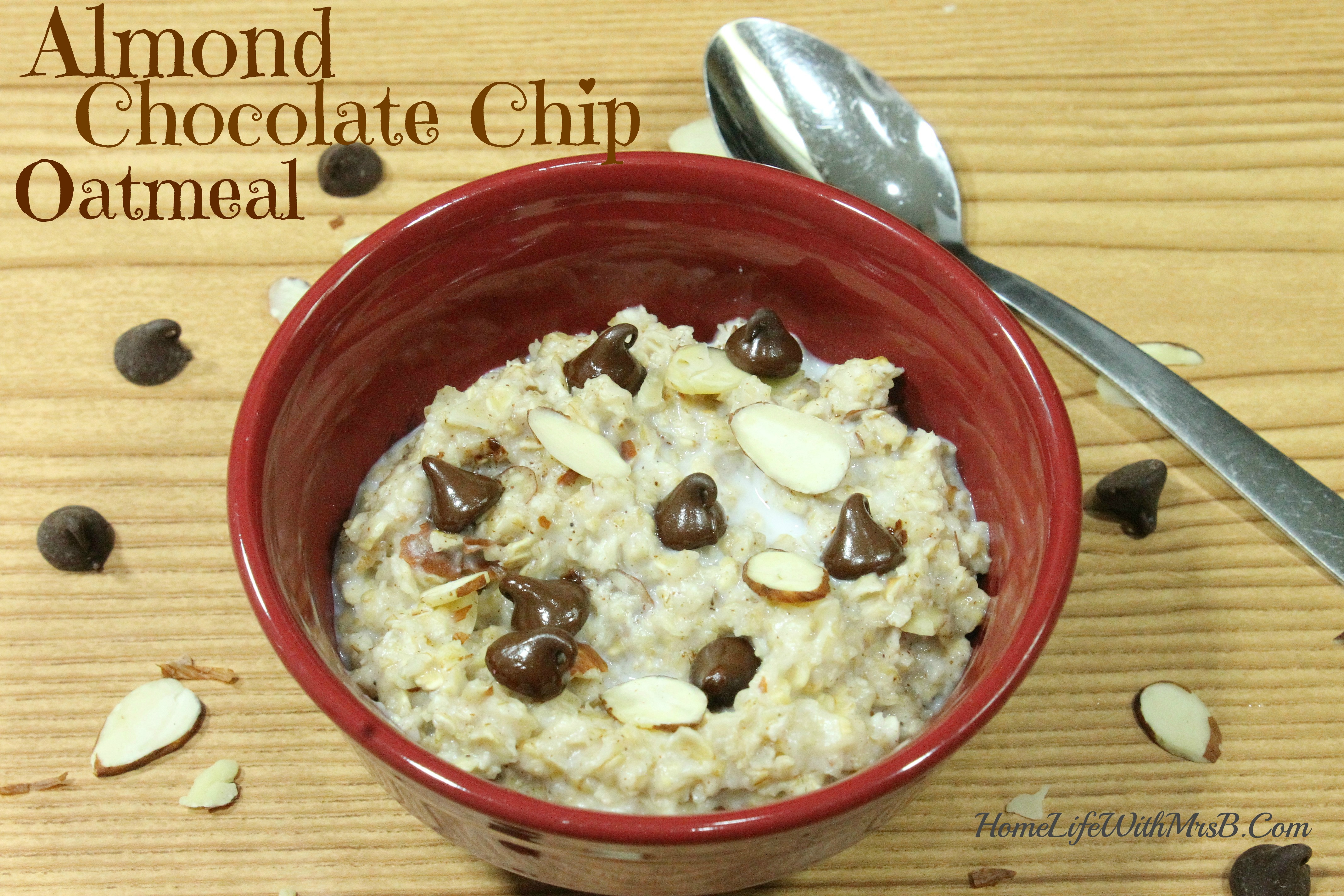 Chocolate Chip oatmeal 2