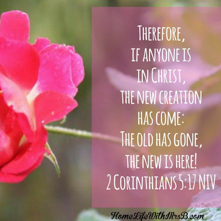 Blessings and Lessons Of 2017 & Year in Review