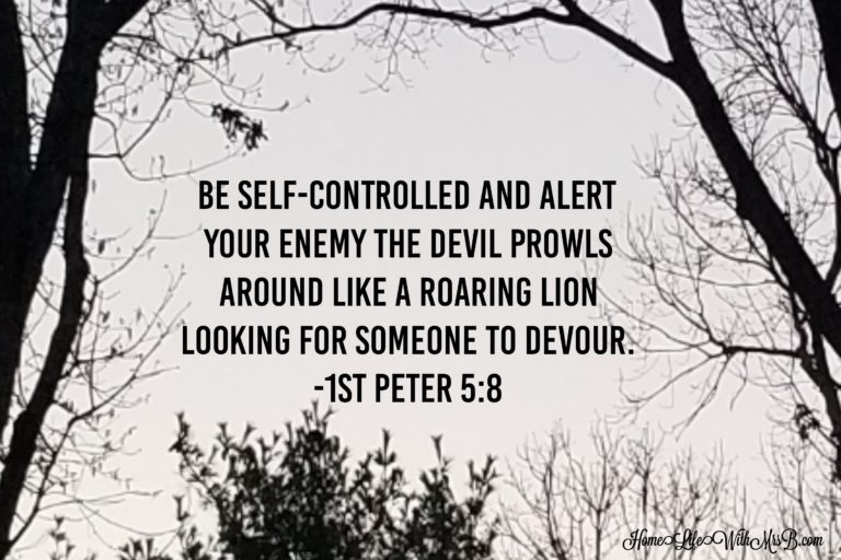 Be Self-Controlled And Alert